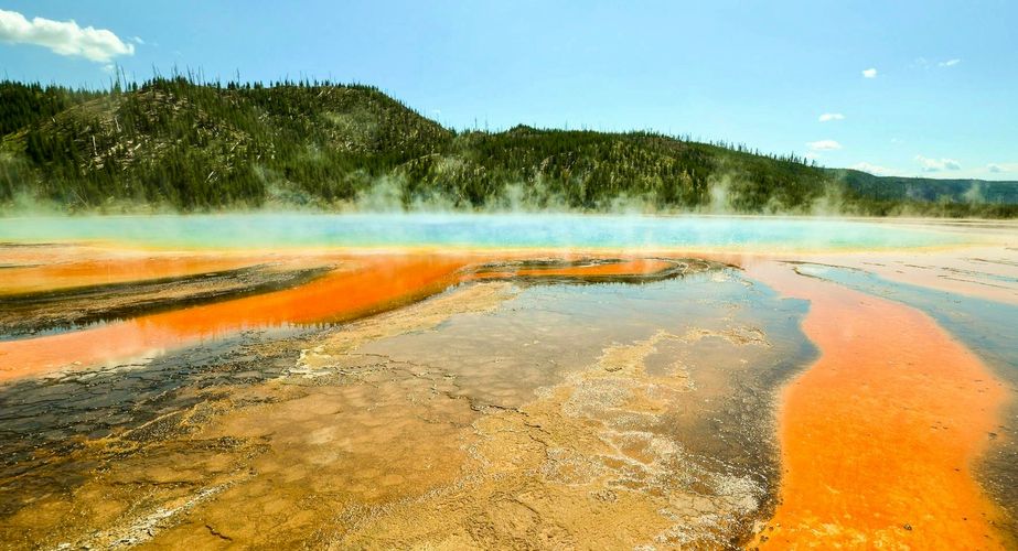 Wild USA Nieuw 15 Wild USA Nieuw 15